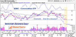 Are Commodities Nearing the Bounce Zone? dbc commodities etf important trading support oversold chart