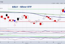 Inflation Update: Silver and Precious Metals On Watch slv silver etf trading rally higher rising prices chart inflation
