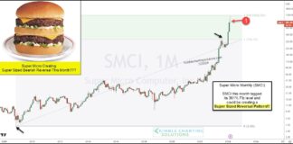 Did Super Micro Computer Stock (SMCI) Peak and Reverse Lower? smci stock price top peak analysis investing chart image - super micro computer year 2024