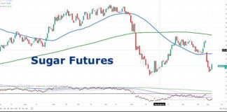 Are Sugar Futures Prices Bottoming? sugar futures trading price bottom low chart