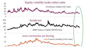 Stock Market Volatility: Keep Calm and Carry On? equity volatility calm first half year 2024 image