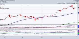 Stock Market Update: One Day Does Not a Sector Rotation Make! nvda nvidia stock price peak market top chart june 25
