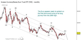 The Euro’s Likeliest Path is Downward (Elliott wave forecast) euro currency fxe elliott wave trading forecast investing chart image