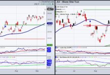 Market Update: Invest In Economics, Not Politics gold silver etfs good investment returns performance year 2024 chart