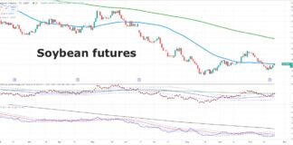 Gold, Silver Post 2024 Breakouts: Will Sugar and Soybeans Follow? soybean futures price breakout rally setup investing chart october 24