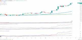 Are Retail Stocks, Bitcoin Lead Stock Market Higher? bitcoin price rally all time highs higher investing chart image