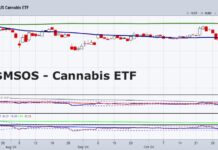 Did Cannabis Stocks Finally Bottom? cannabis etf msos trading bottom low investing chart november 12