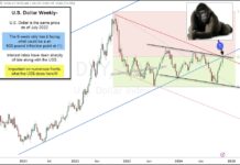 US Dollar Rally Near Critical Inflection Point! us dollar rally important resistance decision point currency chart november