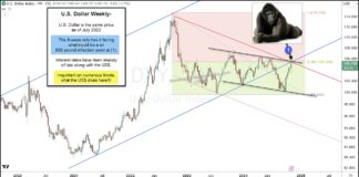 US Dollar Rally Near Critical Inflection Point! us dollar rally important resistance decision point currency chart november