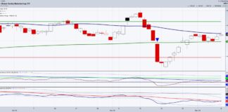 Why Biotech Sector ETF (IBB) May Turn Bullish In 2025 ibb biotech etf trading higher bullish momentum investing analysis chart december