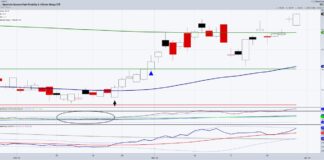 Is It Time to Look at Fixed Income and Inflation Protection? ivol interest rate inflation hedge etf trading rally higher investing chart march