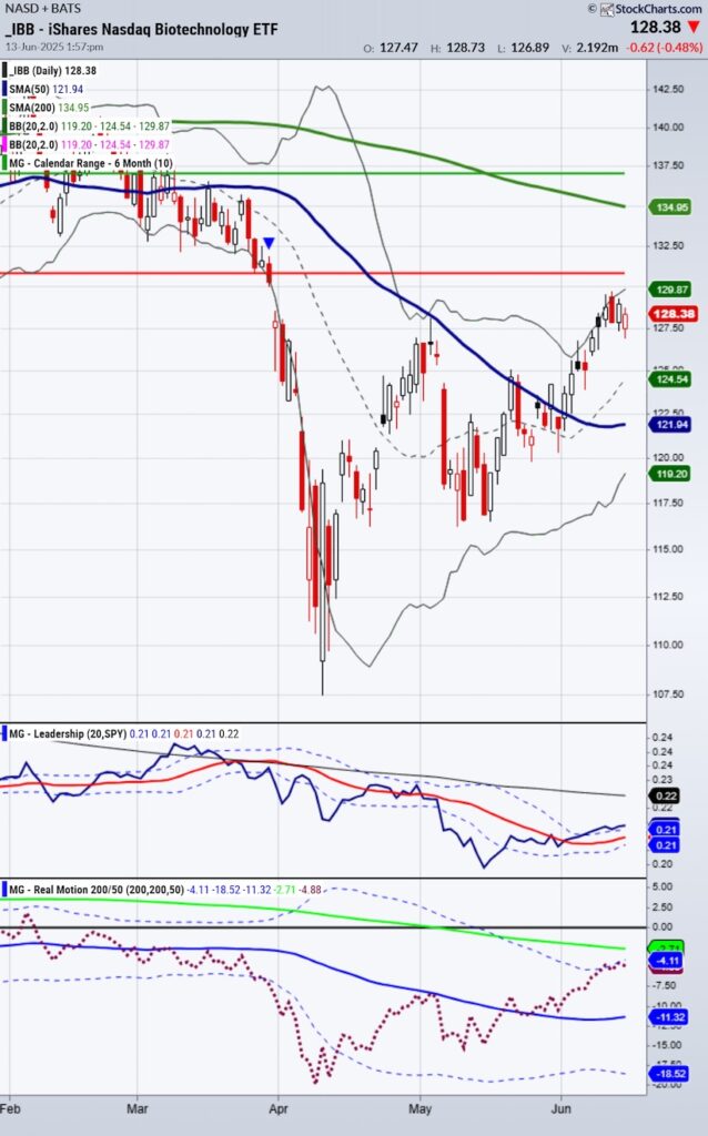 biotechnology sector etf ibb trading bearish reversal lower chart june 16 2025