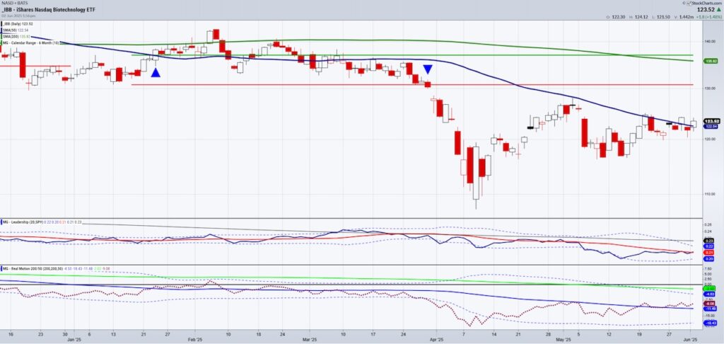biotechnology sector etf trading rally higher wedge pattern investing chart june 3