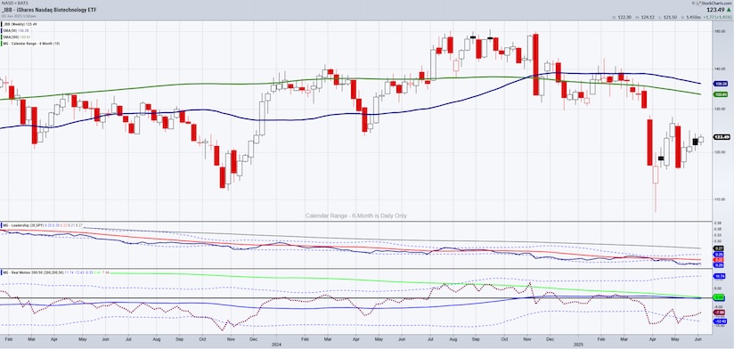 ibb biotechnology sector etf trading bearish wedge investing chart june 3