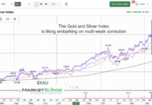 How Far Will Precious Metals Gold and Silver Fall? xau gold silver index price correction february march chart image