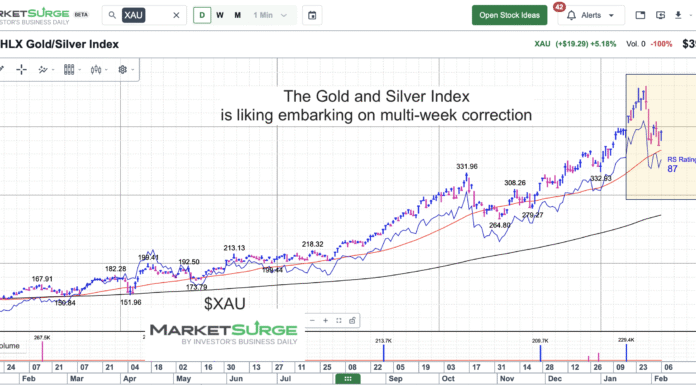 How Far Will Precious Metals Gold and Silver Fall? xau gold silver index price correction february march chart image