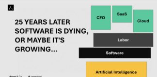 25 Years Later Software is Dying, Or Maybe It’s Growing… software sector stocks growth investing image