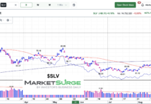 Silver ETF (SLV) Posts Bearish Engulfing Candle silver etf slv price chart august 2026